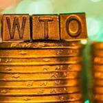 WTO: diverse views fuel bleak