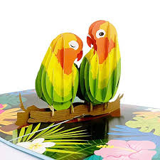 Start with a simple card and fold it in half. Liif Lovebirds Pop Up Card 3d Greeting Pop Up Cards For All Occasions Valentines Day Mother S Day Happy Birthday Wedding Card Anniversary Card Anniversary Gifts For Her Wife Couple Walmart Canada