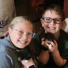 Is the Sparx Hard Travel case for the Gen 1 machine similar to a Pelican  1650 case?