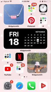 Ios 14 3 In 2020 Phone Organization Iphone Screen Iphone Organization