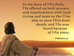 18 Bible Verses About Praying Loudly Lewis maharam, fellow of the american college of sports medicine if you're doing harm to your knees, if you're running and jogging and the pain becomes such that it alters the way you run, then it's time to stop and go see your doctor. 18 bible verses about praying loudly