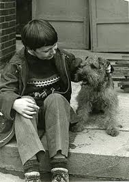 Image result for velšteriér