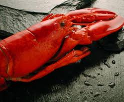 Astice americano, canadese o europeo? Ricette Con L Astice La Scheda Dell Astice