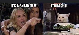 Pin On Women Screaming At Cat