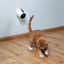 Trixie Kedi Lazer Oyuncak 11cm Fiyati Taksit Secenekleri