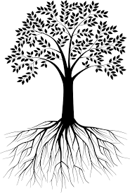 Black And White Tree Drawing Tree Silhouette Vector Image On Vectorstock Olive Tree Tattoos Tree Tattoo Black Tree Tattoo Designs