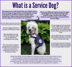 Blog Friends Carma And Garth On Black N White Sunday Service Dogs Psychiatric Service Dog Service Dog Training
