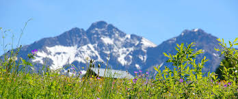 Search hotels in kleinwalsertal, austria. Webcam Haus Kasimir Alpenhit