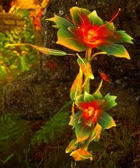 It's near the easternmost ruined arch. Image Result For Embrium Dragon Age Inquisition Dragon Age Dragon Age Inquisition Flowers