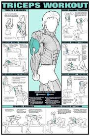 gym workout chart with images hd anotherhackedlife com