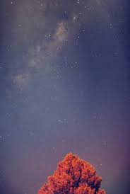 Download hd sky wallpapers best collection. Download Stars In The Sky Wallpaper Cellularnews