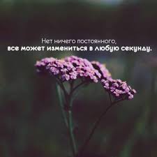 влюбиться можно в красоту но полюбить лишь только душу Mudrost Pravdivye Citaty Mudrost Podrostkovye Citaty