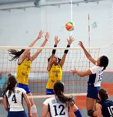 Encontra tudo sobre esportes no yahoo esportes. Nucleo De Esportes Antonio Meneghetti Faculdade