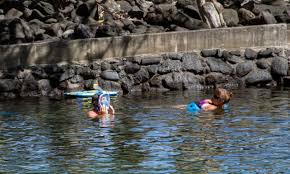 Experts: Why Do So Many Hawaii Visitors Die Snorkeling?