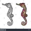 Coloring pages for adults come in a specific shape and size… complex. 1