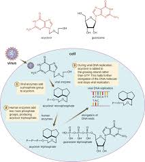 Niclosamide is an anthelmintic, prescribed for worm infections (fish tapeworm, dwarf tapeworm, and beef tapeworm infections). Mechanisms Of Other Antimicrobial Drugs Microbiology