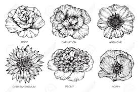 Tiere zeichnen zeichnen kunstreferenz zeichnung tutorial blumen zeichnen eule malen skizzen zeichnen jen | flower and botanical art on instagram: Sammlung Von Blumen Zeichnen Und Skizze Mit Strichzeichnungen Auf Weissen Hintergrunden Lizenzfreie Fotos Bilder Und Stock Fotografie Image 77160134