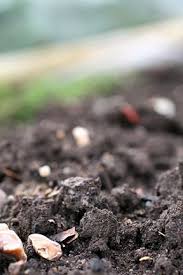 Soil Types Rhs Gardening Types Of Soil Soil Soil Improvement