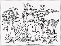 Baby animal coloring pages kawaii. Realistic Animal Colouring Pages Coloring And Drawing