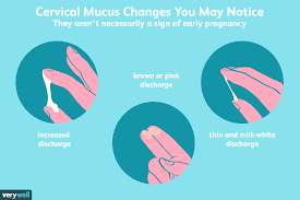 Also, the color often varies from pink to red to brown. Can Cervical Mucus Help You Detect Early Pregnancy