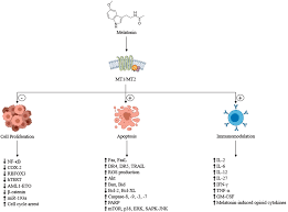 Please use one of the following formats to cite this article in your essay, paper or report: Potential Role Of Melatonin In Prevention And Treatment Of Leukaemia