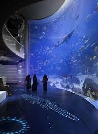 Kafd Aquarium Exhibits In 2020 Aquarium Architecture Public Aquarium Exhibition Design