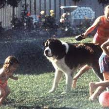 Beethoven is a 1992 family comedy film, directed by brian levant and starring charles grodin and bonnie hunt. Ein Hund Namens Beethoven Film 1991 Trailer Kritik Kino De