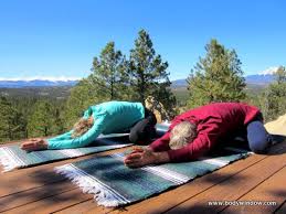 What Is Yin Yoga Yin Yoga Yin Yoga Poses Best Yoga