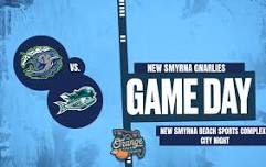 City Night: Sardines vs. Gnarlies