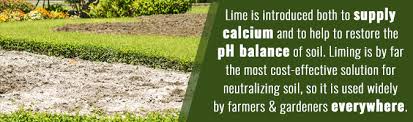 Lawn lime treatment lawn care professional or diy? Can I Lime And Seed At The Same Time Baker Lime