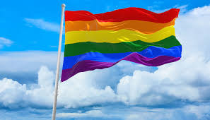 All our images are transparent and free for personal use. Niagara Catholic School Board Trustees Vote To Fly Pride Flag Chch
