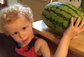 Elderbus adds new vehicle to fleet