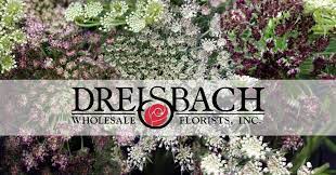 Maybe you would like to learn more about one of these? Dreisbach Wholesale Florist Lexington Home Facebook