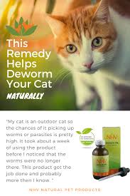 How to use ear mite medicine for cats. Inulin Pk For Cats Cat Medicine Cat Dewormer Cat Parenting