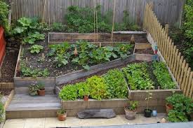Before Back2 Small Vegetable Gardens Small Space Gardening Small Gardens