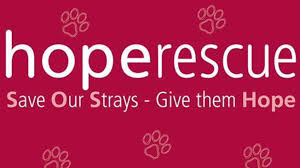 Pawsome rescue project in chesnee, sc has pets available for adoption. Project New Rescue Centre Hope Rescue A Charities Crowdfunding Project In Cardiff By Hope Rescue