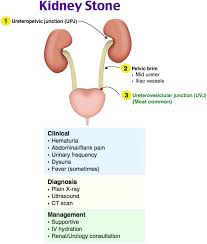 Rosh Review Nursing Information Medical Mnemonics Nursing School Tips