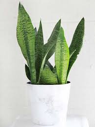 The nice thing about this project is it's just manly enough to not cause a fight around the house. Creative Contact Paper Projects Better Homes Gardens