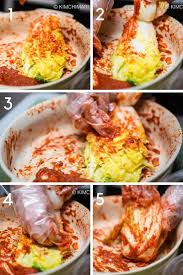 Easy Kimchi Recipe Using The Blender Recipe Kimchi Recipe Recipes Kimchi