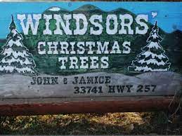 Hours may change under current circumstances Windsor Christmas Tree Farm Colorado Com