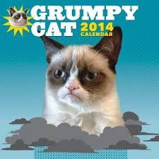 Grumpy Cat 2014 Wall Calendar Grumpy Cat Cat Calendar Cats
