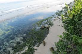 Located in pecatu village in badung regency, impossible beach derives its name from the difficulty it posed for visitors wanting to reach there. Tahukah Kamu Pantai Di Bali Ada Yang Punya Lift
