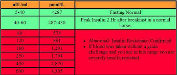Insulin Test Results Faq Equine Medical And Surgical