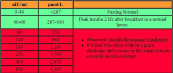 insulin test results faq equine medical and surgical