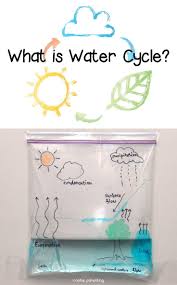 Water Cycle Science Experiments Kids Science Projects Kindergarten Science