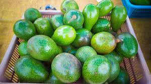 Es gibt bestimmte tricks und tricks, um ihren effektiven reifegrad zu bewerten. Daran Erkennen Sie Dass Eine Avocado Reif Ist 3 Hilfreiche Tipps Focus De