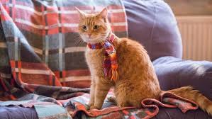 Our condolences go to james, bob's loyal companion. A Street Cat Named Bob 2016 The Movie Database Tmdb