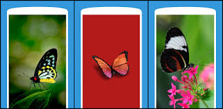 Check spelling or type a new query. Butterfly Wallpaper Aesthetic Hd 4k On Windows Pc Download Free 1 1 Com Butterflywallpaper Ariaulia