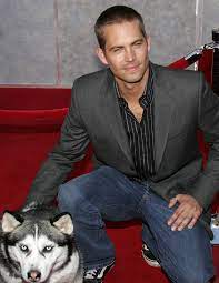 Wie viel geld hatte paul walker? Paul Walker Das Hinterlassene Vermogen Des Schauspielers