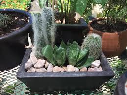 Vivero La Ceiba Macetas Listas Para Decorar Tus Facebook